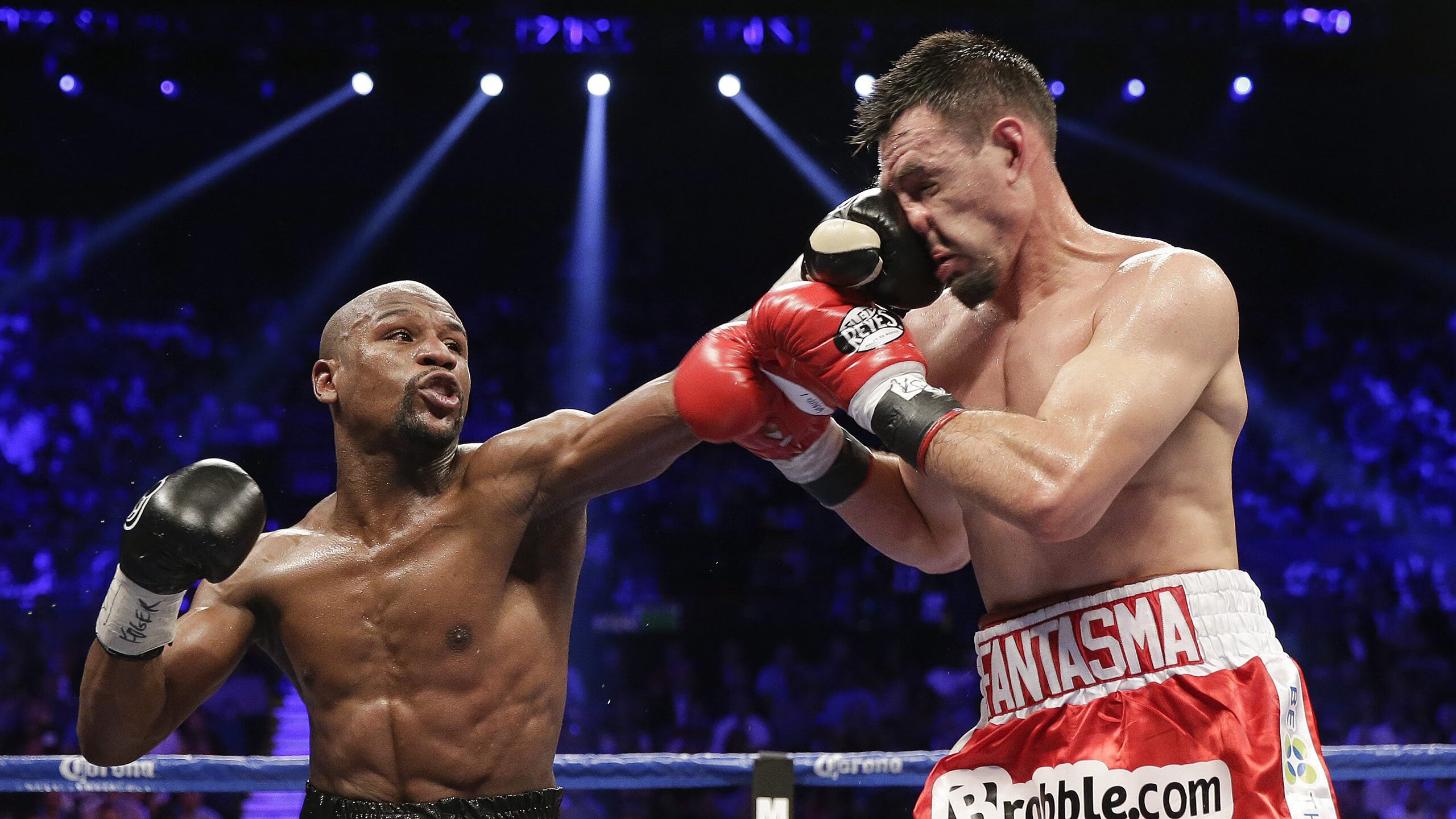 _体育场馆全球数字化：智能场馆新趋势_，体育场馆智能化系统包含哪些