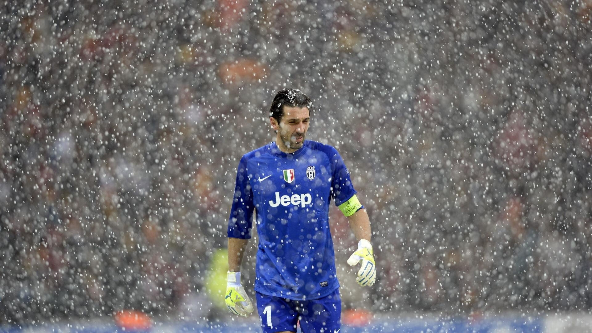 未来领袖：新秀如何在关键时刻挺身而出？，新秀潜力排行