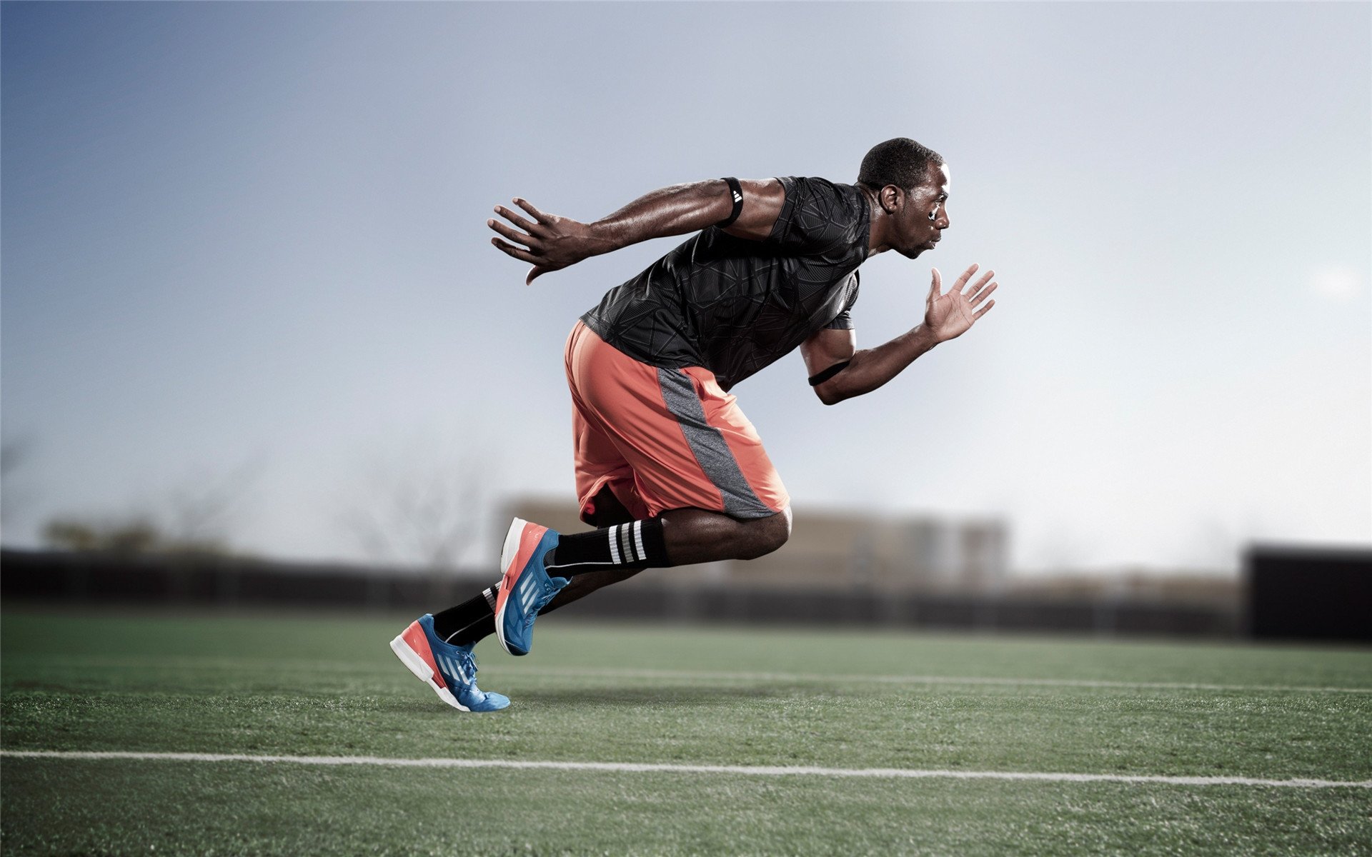 开云网页-体育赛事热情高涨，球迷热血沸腾，体育赛事热度